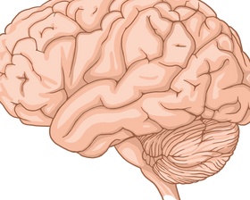 Brain and Mental Health: Anxiety, Depression, Addiction and Other Conditions