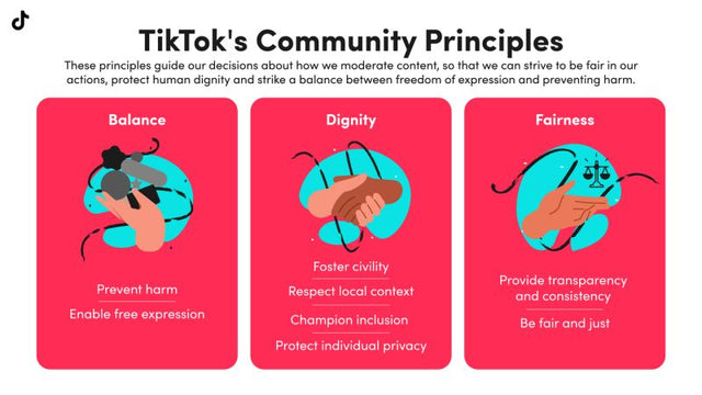 TikTok Community Principles graphic about safety, dignity and fairness in content moderation