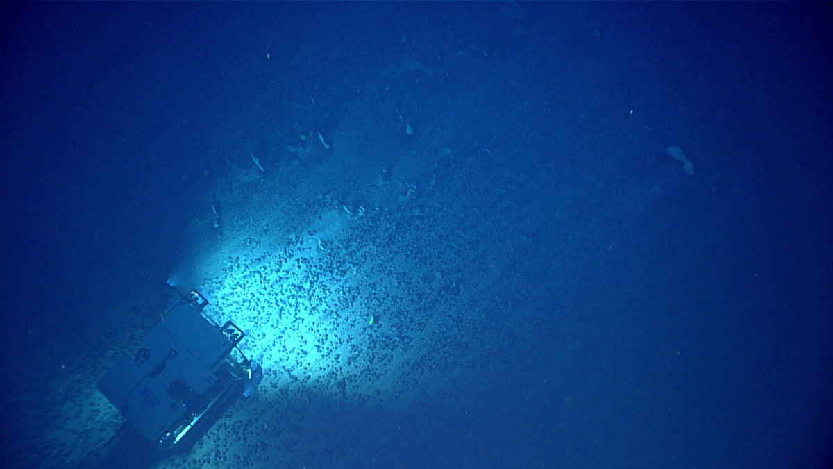NOAA’s Deep Discoverer traverses a field of polymetallic seafloor nodules.