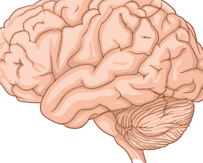 Brain and Mental Health: Anxiety, Depression, Addiction and Other Conditions