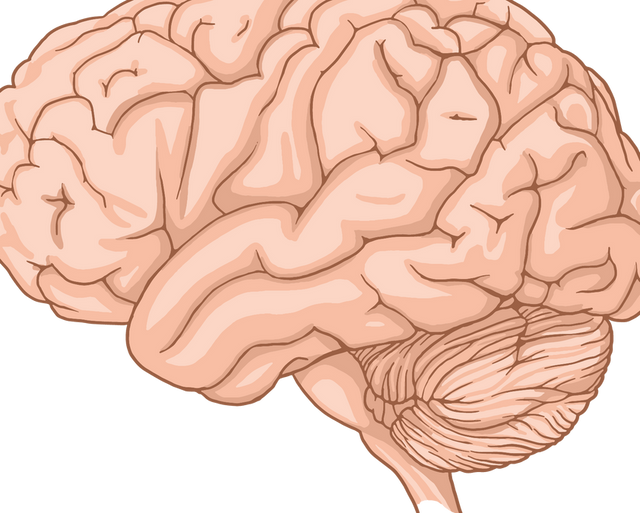 Brain and Mental Health: Anxiety, Depression, Addiction and Other Conditions