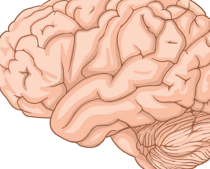 Future of Neuroscience: Brain Imaging, Brain-Computer Interfaces and AI
