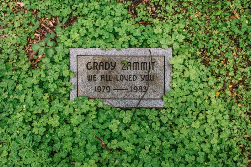 Archival photograph of an overgrown pet cemetery grave marker in St. Bernard Parish, Louisiana