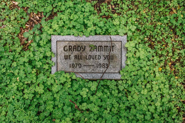 Archival photograph of an overgrown pet cemetery grave marker in St. Bernard Parish, Louisiana