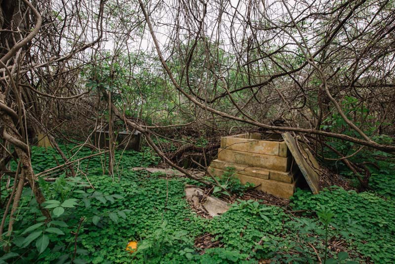 Overgrown stone tomb and vegetation at the abandoned Azalea Original Pet Cemetery in Louisiana