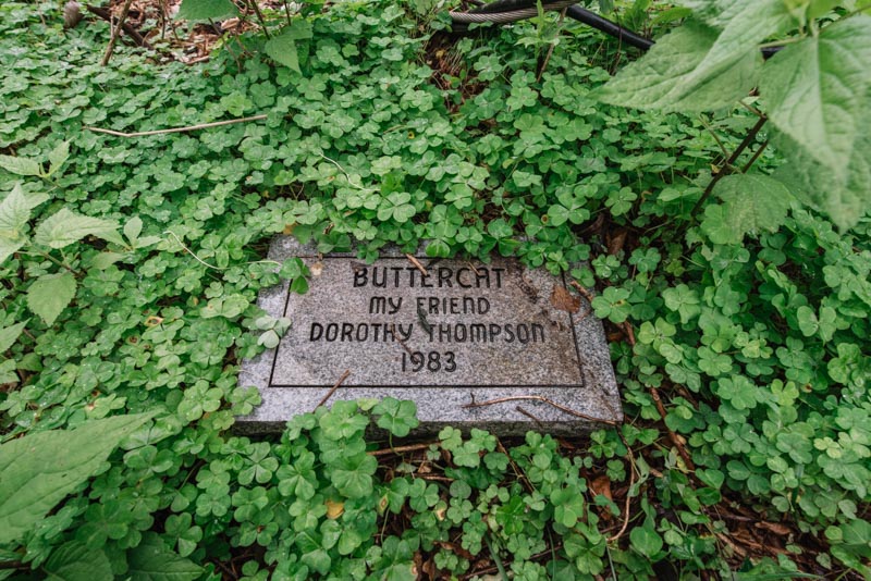 Overgrown memorial marker at the Azalea Original Pet Cemetery in Louisiana