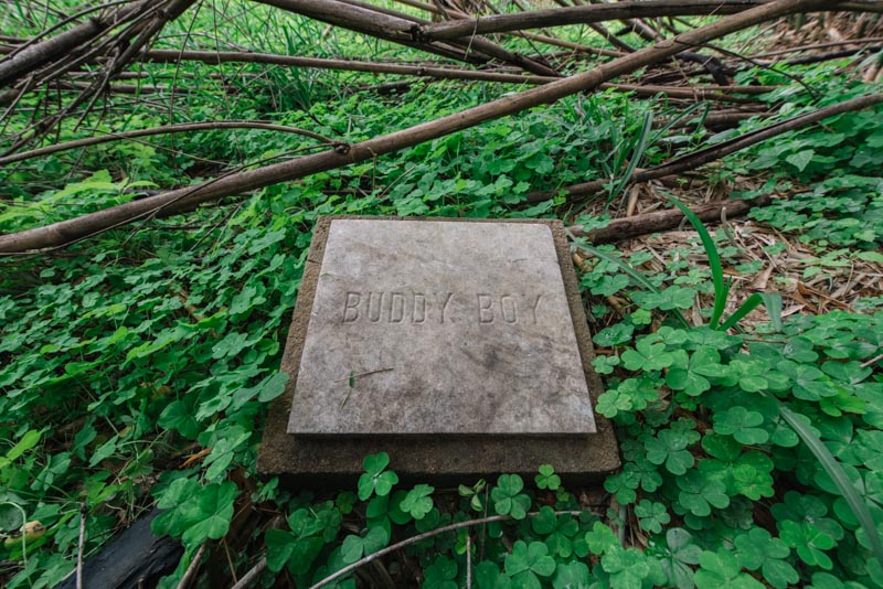 Weathered pet grave marker at Azalea Original Pet Cemetery in Toca, Louisiana, the site connected to Dorothy Thompson's cold case