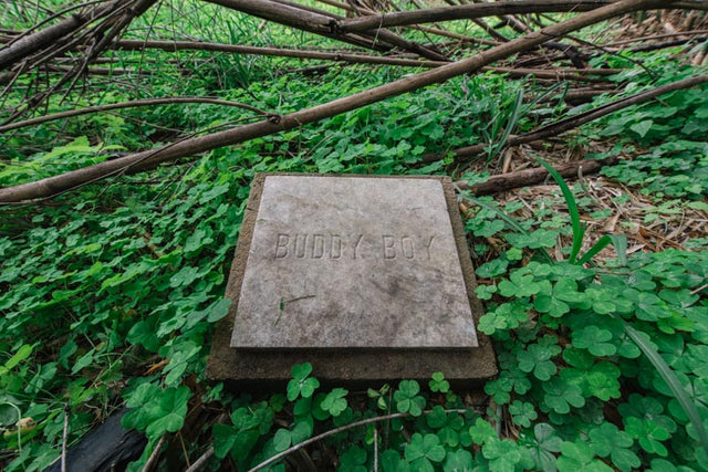 Weathered pet grave marker at Azalea Original Pet Cemetery in Toca, Louisiana, the site connected to Dorothy Thompson's cold case