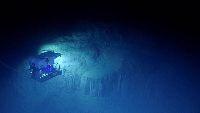 Abyssal Zone Explained: Life on the Deep Ocean Floor