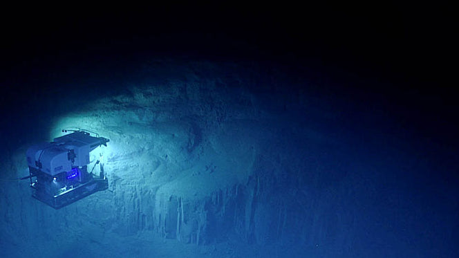 Deep Sea Latest News and Discoveries: What to Watch in 2026